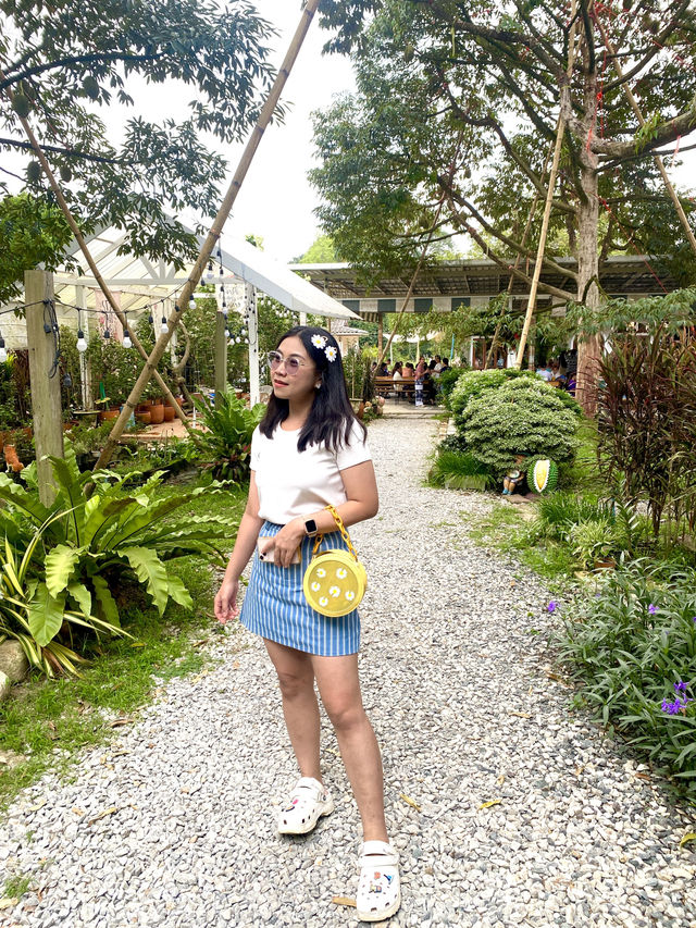  🍕สวนอรุณบูรพา ☀️