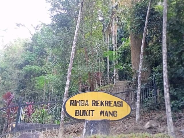 Hutan Lipur Bukit Wang