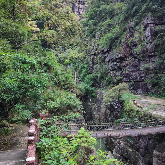 【8月好去處】紅梅谷瀑布~享受清新氣息!🏞️🍃 【8月好去處】紅梅谷瀑布~享受清新氣息!🏞️🍃