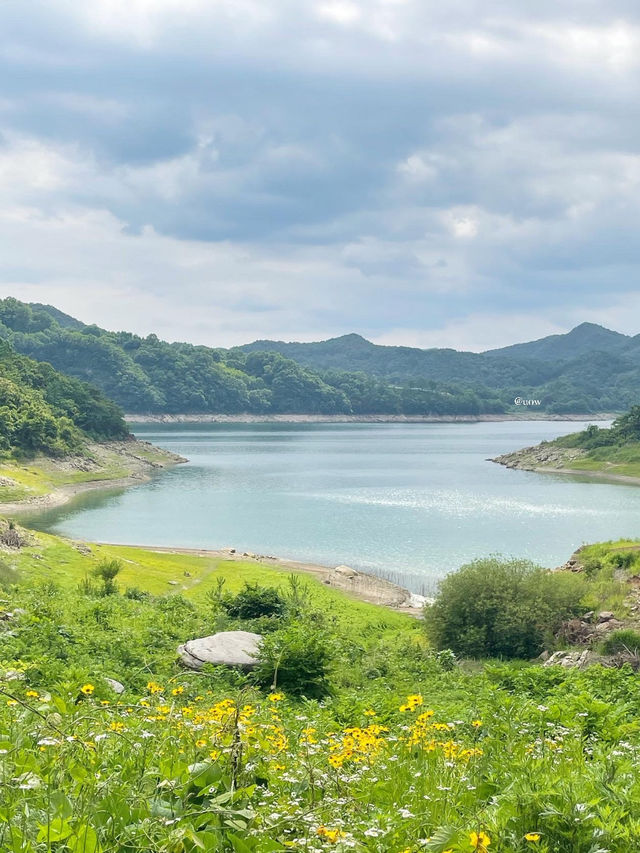 이곳이 바로 한국의 스위스🇨🇭🌿
