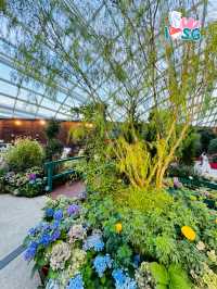 🇸🇬 Flower Dome Impressions of Monet