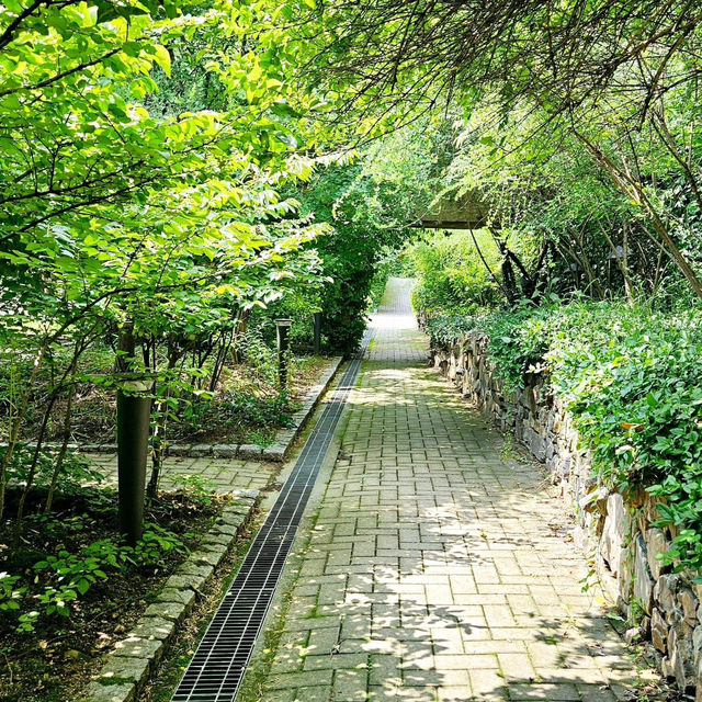 Seonyudo Park: A Green Oasis in the City