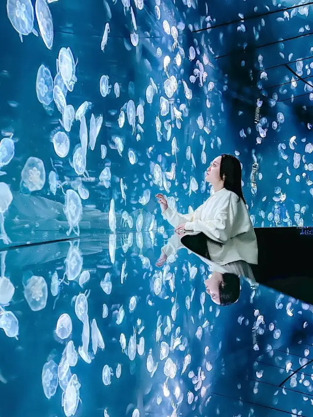 【東京】進入水母與企鵝的奇幻空間