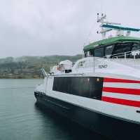Explore the Enchanting Norwegian Fjords on a Cruise Trip