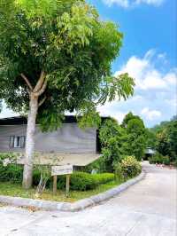 Calming My Mind and Praying at Kechara Forest Retreat