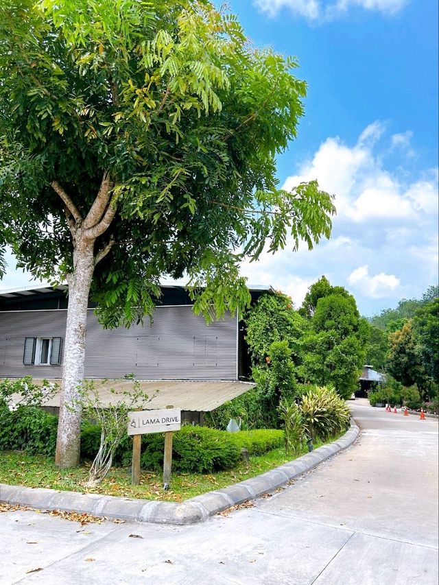 Calming My Mind and Praying at Kechara Forest Retreat
