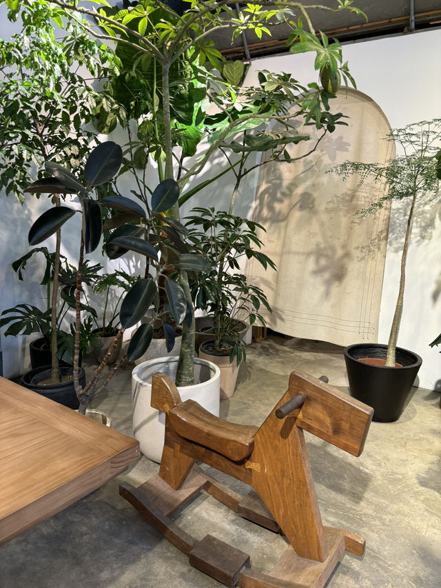 深圳隱世打卡秘點