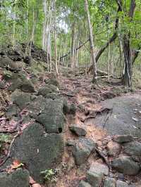 Cherok Tokun Nature Park (National Forest)