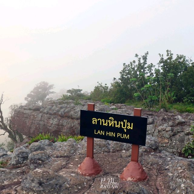 เดินป่าหน้าฝน ลานหินปุ่ม - ผาชูธง ภูหินร่องกล้า