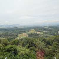 A Glimpse into History at the Korean DMZ