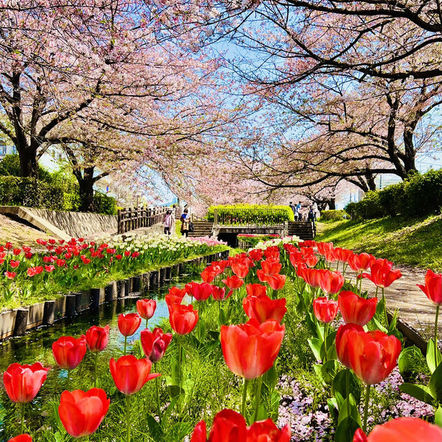 Egawa Seseragi Ryokudo: A Natural Oasis in Yokohama