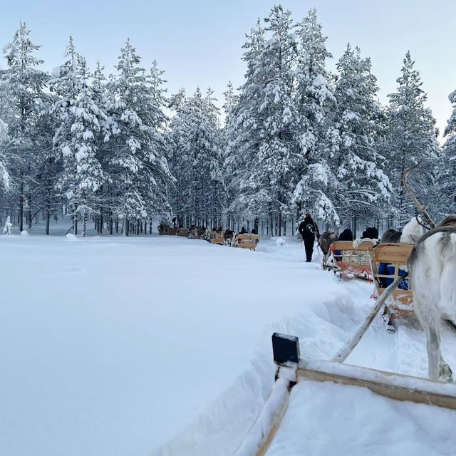 Reindeer, Wilderness, and Magic: A Jaakkola Backpacking Adventure 🇫🇮