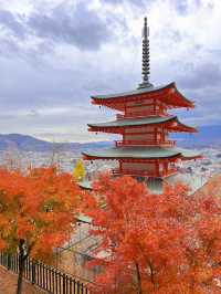 【山梨】富士山見ながら紅葉狩り