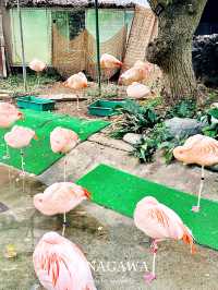 横浜にありながら無料の動物園【神奈川/桜木町】