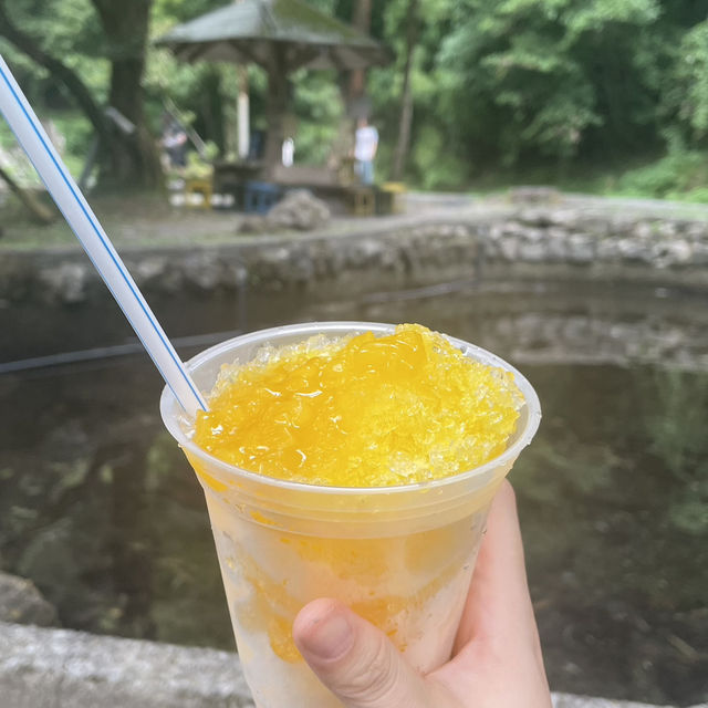 【宮崎】高千穂峡✨自然豊かで心も癒された