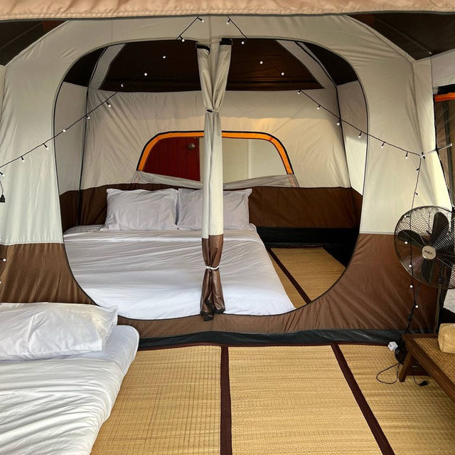 เต็นท์สุดหรูกลางไร่ชา ⛺️ 