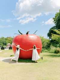 【福島】夏の福島で巡りたいスポット6選