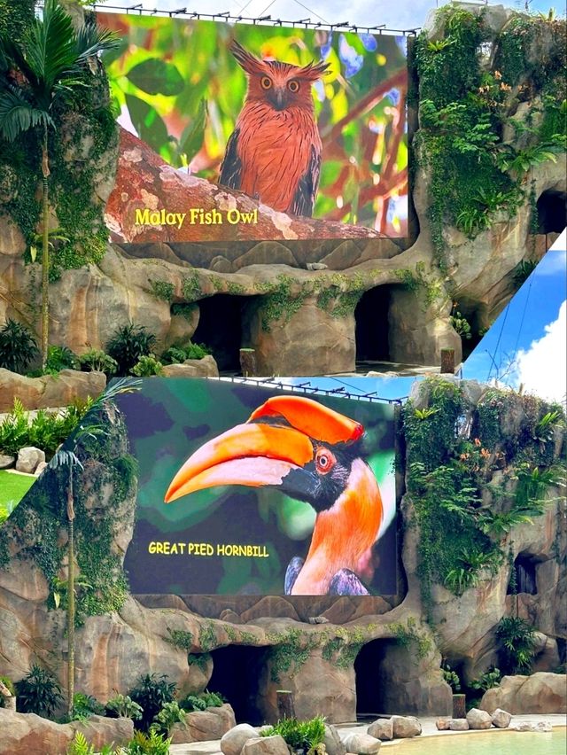 Up Close with Animals at Bird Paradise