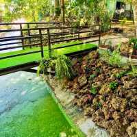 คาเฟ่ในสวนบรรยากาศสุดชิล
