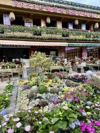 A Taste of Tradition: Exploring Dali Ancient Town Through Local Flavors