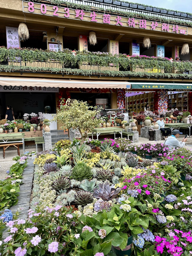 A Taste of Tradition: Exploring Dali Ancient Town Through Local Flavors