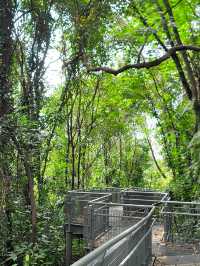 Discovering Telok Blangah Hill Park: A Tranquil Escape in Singapore 