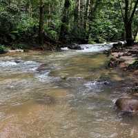 Enjoy the green shower - Sg Congkok