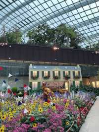 🇸🇬Join the Carnival of Flowers in Flower Dome Singapore ! 
