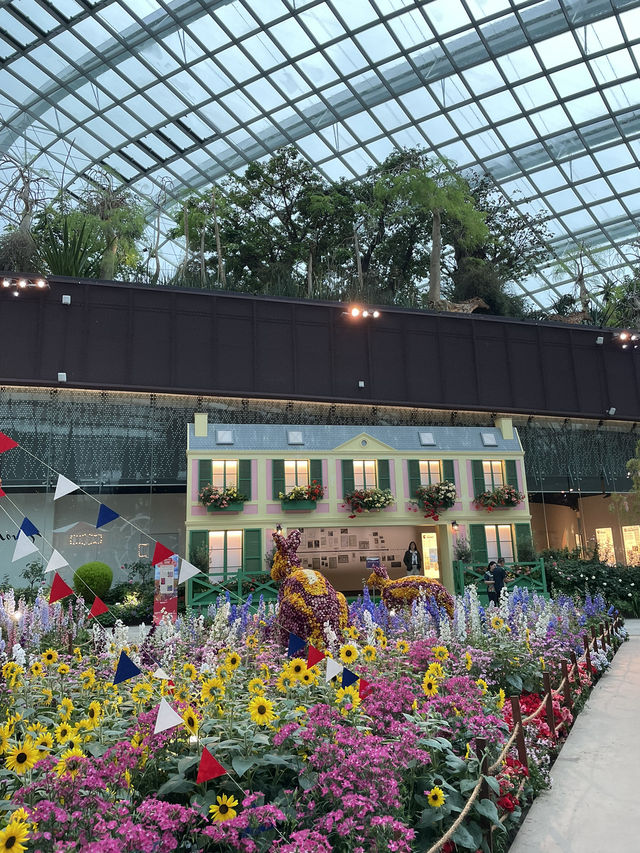 🇸🇬Join the Carnival of Flowers in Flower Dome Singapore ! 