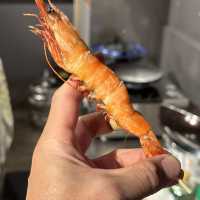 知多半島を旅しよう！