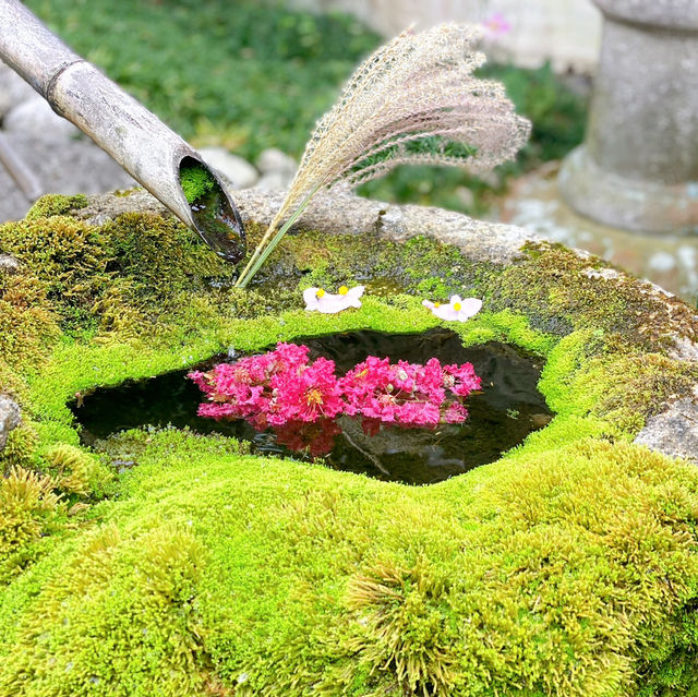 【京都】花手水💐発祥のお寺！