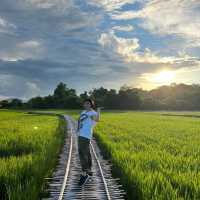 วิวทุ่งนาบ้านนาต้นจั่น