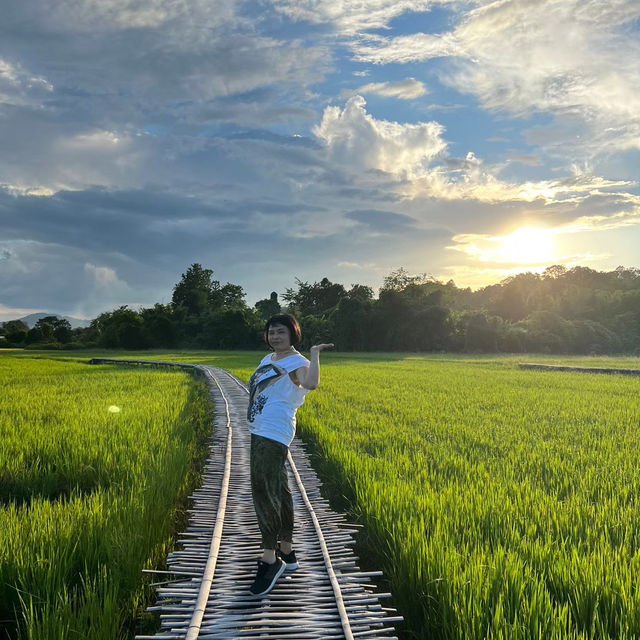วิวทุ่งนาบ้านนาต้นจั่น