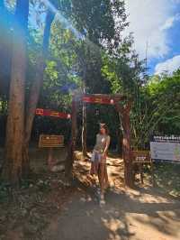 ถ้ำนาคี  เศรียรพญานาคทั้ง 9  นครพนม