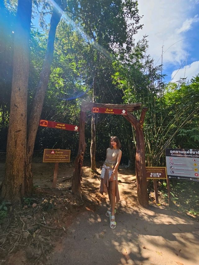 ถ้ำนาคี  เศรียรพญานาคทั้ง 9  นครพนม