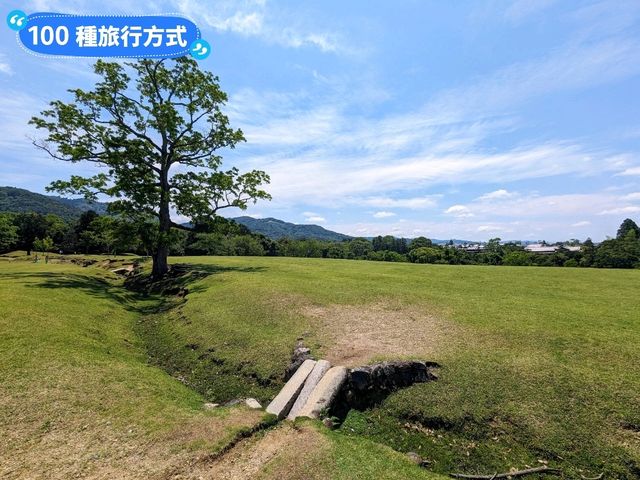 東大寺與梅花鹿，奈良2天1夜行程分享