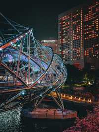 Helix Bridge at Night