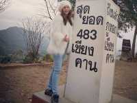 ทะเลหมอกภูทอก