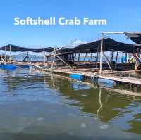 5 Must Know Tips  About Kampung Bambangan