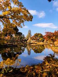 Serene Autumn Splendor at Higo-Hosokawa Garden 🍁