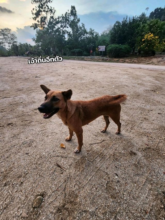 น้ำตกวังหินลาด​ อ.ย่านตาขาว​ จ.ตรัง​ ⛰️