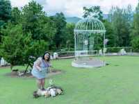 𝑴𝒐𝒓𝒏𝒊𝒏𝒈 𝑮𝒍𝒐𝒓𝒚 สวนผึ้ง ราชบุรี 