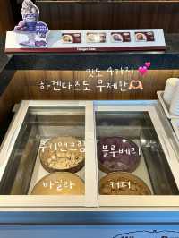 홍콩 가성비 좋은 무제한 샤브샤브 집 찐 추천✨