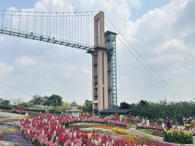 เที่ยวสวนดอกไม้เมืองเฉิงตู อลังการมาก 🌸🌼☘️