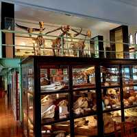 泰國曼谷朱拉隆功大学自然历史博物館，親子博物館遊覽好去處