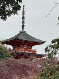 เที่ยววัดน้ำใสแห่งเมืองเกียวโต
