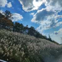北海道自駕游-登別地獄谷/大湯沼/奧之湯/天然足湯