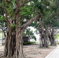 花博公園圓山園區
