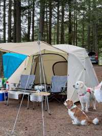 A wonderful camping in park ❤️