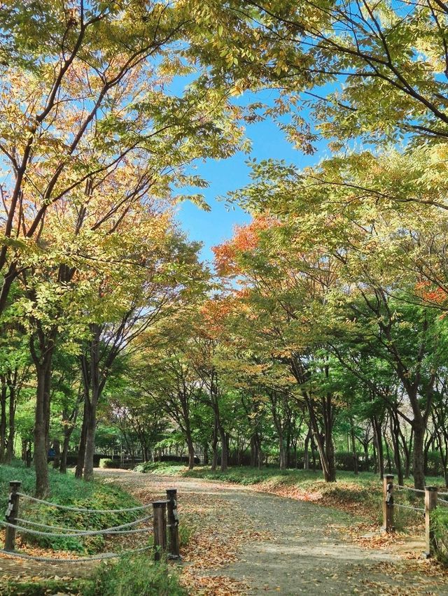 서울 근교에 이렇게 좋은 숲이?! 아이와 함께 하면 더 좋아요 하남 [나무 고아원]